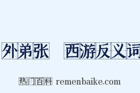 外弟张湜西游反义词是什么意思的图片